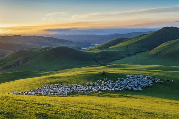 内蒙古有哪些著名的大草原景点 内蒙古十大最美草原