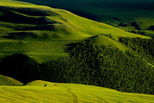 内蒙古有哪些著名的大草原景点 内蒙古十大最美草原