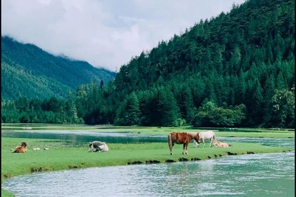 甘孜有哪些超美的露營(yíng)地推薦