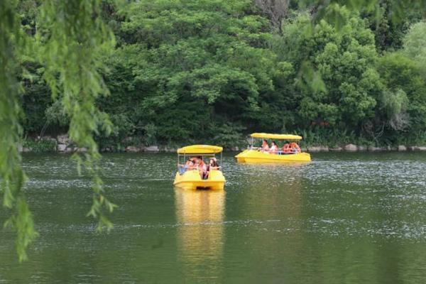 上海適合遛娃的森林公園有哪些