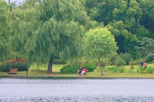 上海適合遛娃的森林公園有哪些