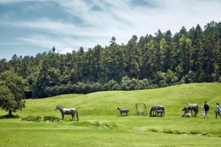 安吉中南百草原景区旅游攻略-门票价格-景点信息