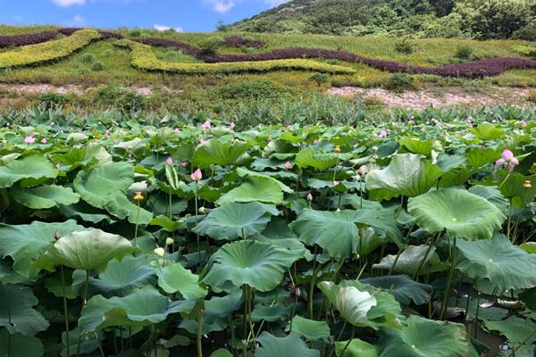 梅州露營過夜地點推薦