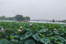 大明湖在哪个城市