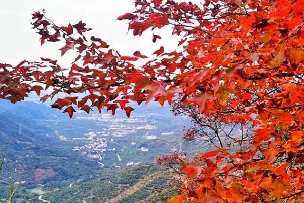 广东秋季旅游景点排名