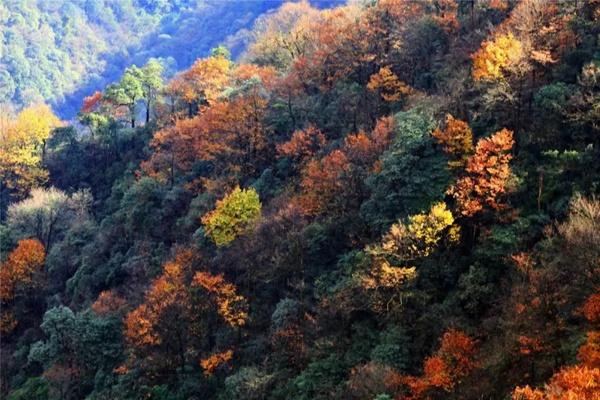 梵净山景区秋季和冬季都有什么特色景色看
