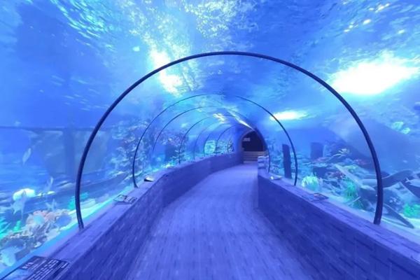 2024滨州海底世界游玩攻略-门票价格-景点信息