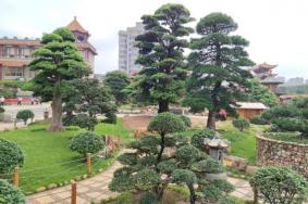 玉林云天宫景点介绍