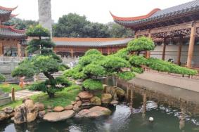 2023玉林云天宫门票优惠政策