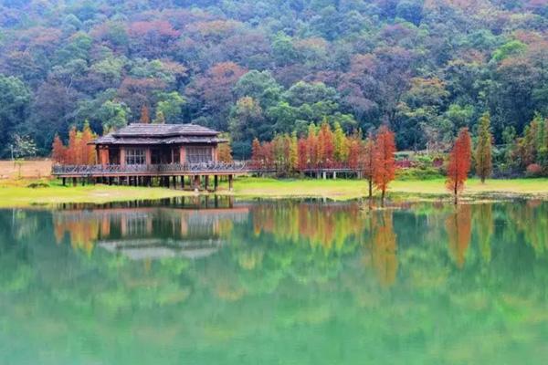 江門秋天最美旅游景點 江門秋游好去處