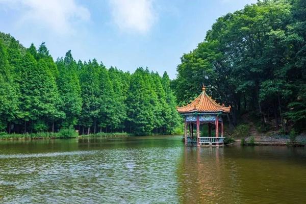 洛阳嵩县有哪些适合秋季打卡的旅游路线推荐