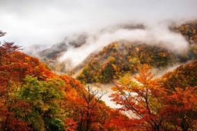 神农架秋季旅游攻略