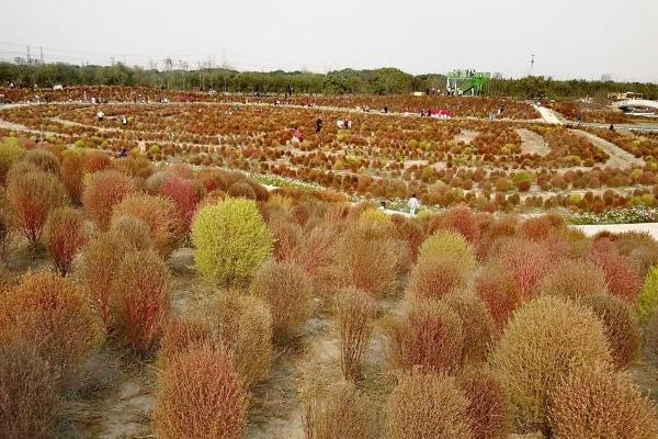 金山秋天适合去哪里玩