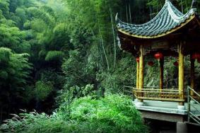 2024杭州彩虹谷旅游攻略-门票价格-景点信息