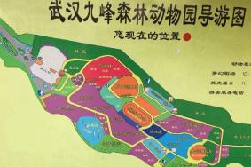 武汉九峰山森林动物园游玩攻略-门票价格-景点信息