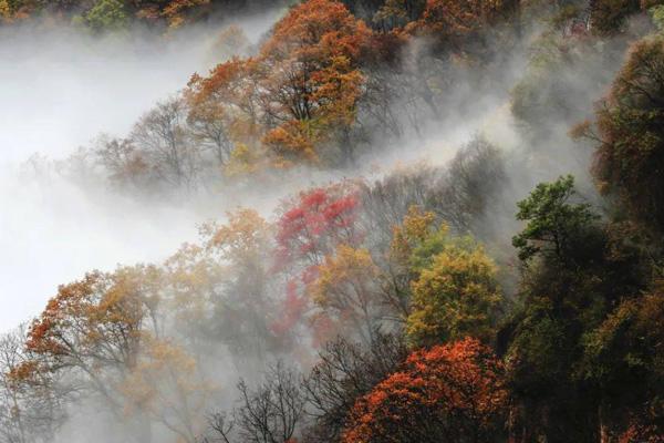 本溪秋色最美的地方是哪里 十大秋季旅游景点