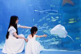 2024杭州辛巴达海洋乐园旅游攻略-门票价格-景点信息