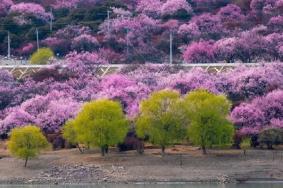 林芝必去的景点推荐