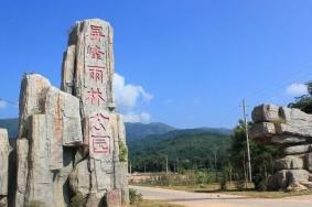 东兴屏峰雨林公园简介