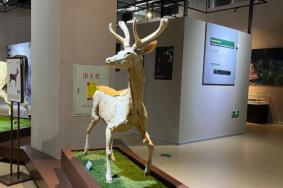 生命奥秘博物馆在哪里