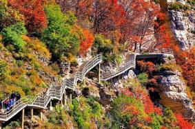 白石山中秋、国庆假期游玩攻略