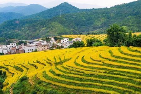 坪山梯田旅游攻略-门票价格-景点信息