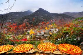 沂蒙山龟蒙景区秋季康养二日游旅游攻略