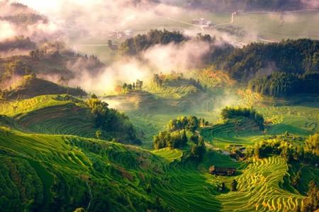 2023紫鹊界梯田旅游攻略 - 门票价格 - 最佳季节 - 自驾一日游攻略 - 住宿 - 简介 - 地址 - 天气