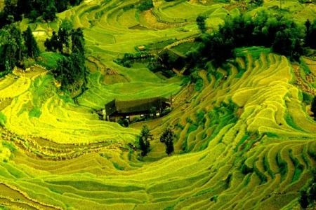 2023紫鹊界梯田旅游攻略 - 门票价格 - 最佳季节 - 自驾一日游攻略 - 住宿 - 简介 - 地址 - 天气