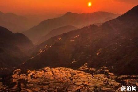 2023元阳哈尼梯田旅游攻略 - 门票价格 - 最佳时间 - 旅游路线 - 住宿攻略 - 简介 - 地址 - 交通 - 天气