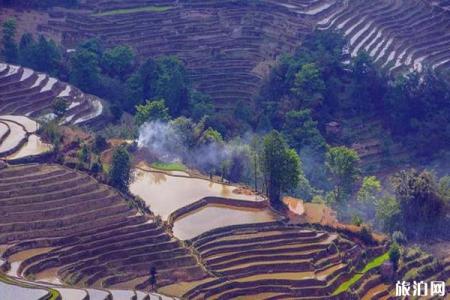 2023元阳哈尼梯田旅游攻略 - 门票价格 - 最佳时间 - 旅游路线 - 住宿攻略 - 简介 - 地址 - 交通 - 天气