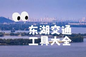 2024最新超全东湖交通指南