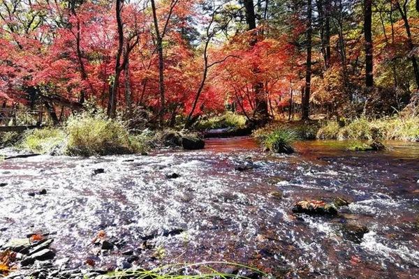 白山市秋季精品自駕游線路推薦