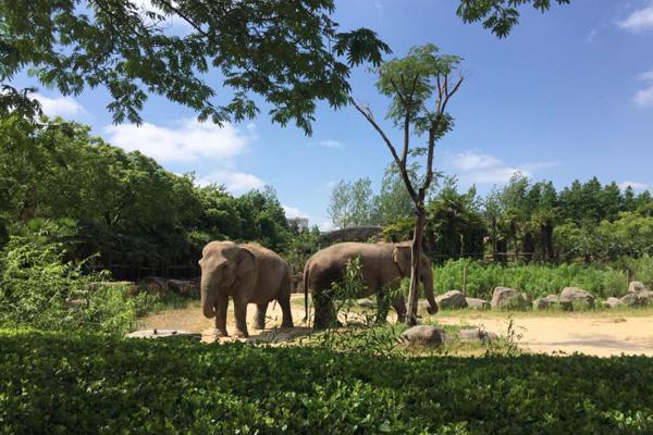 上海适合亲子旅游的地方有哪些