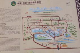2024新疆金湖杨国家森林公园游玩攻略-门票价格-景点信息
