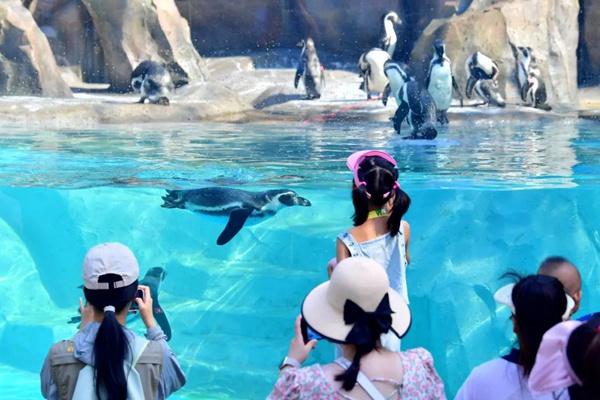 武汉动物园什么时候开园2023