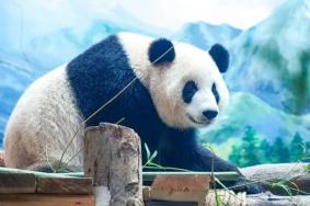 武汉动物园什么时候开园2023