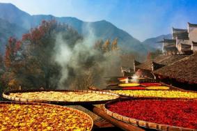 中秋国庆婺源篁岭游玩攻略