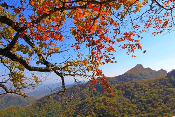 鞍山一日游必去的景點介紹