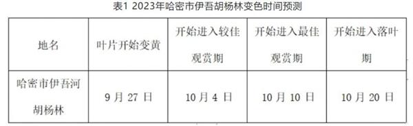 伊吾胡楊林最佳觀賞時間