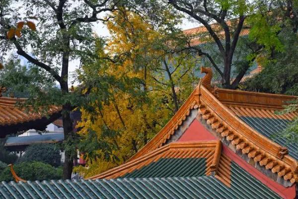 秋季南京最适合游玩的地方