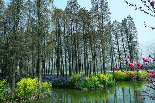 興化李中森林公園在哪里 怎么坐車