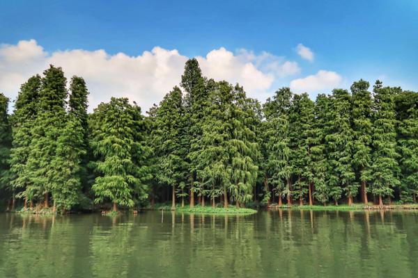 興化李中森林公園在哪里 怎么坐車