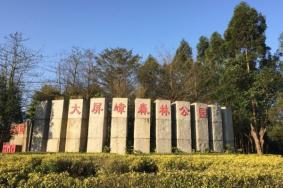 大屏嶂森林公园哪些景点好玩