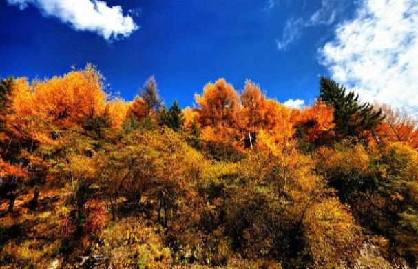 四川秋季旅游好去处