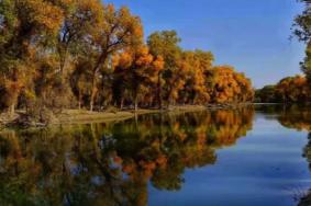 新疆10月份旅游最佳地方推荐 十大必玩的景点