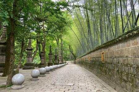 天童寺旅游攻略-门票价格-景点信息