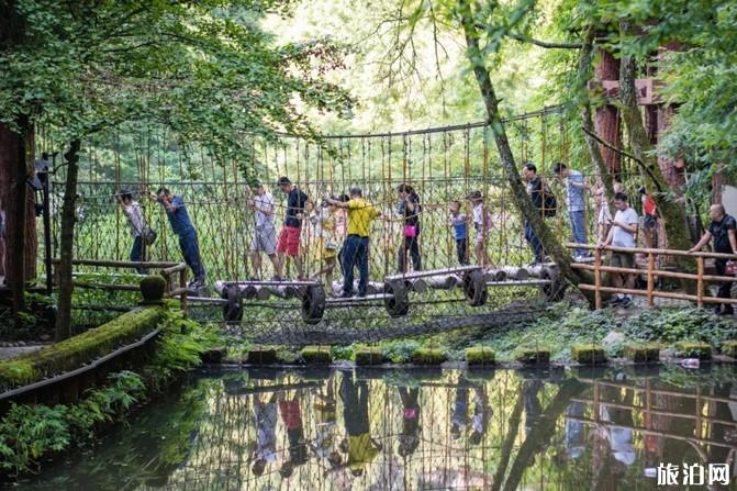 四面山旅游攻略一日游