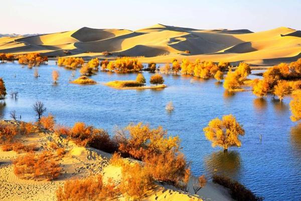 新疆有哪些地方可以看胡杨林