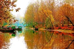 10月8日微山湖旅游区对济宁市户籍游客免门票